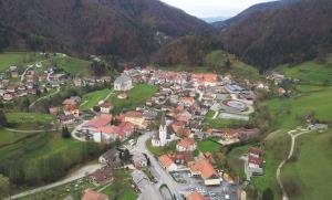 Vitanje 2014 iz zraka 1, Branko Rek